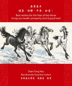 2014 Year of the Horse greeting card