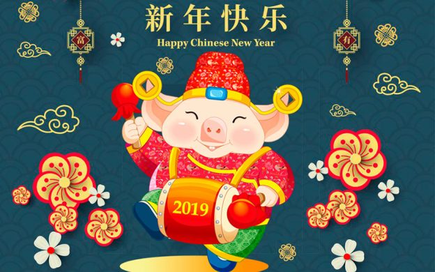 Chinese New Year Pig 2019